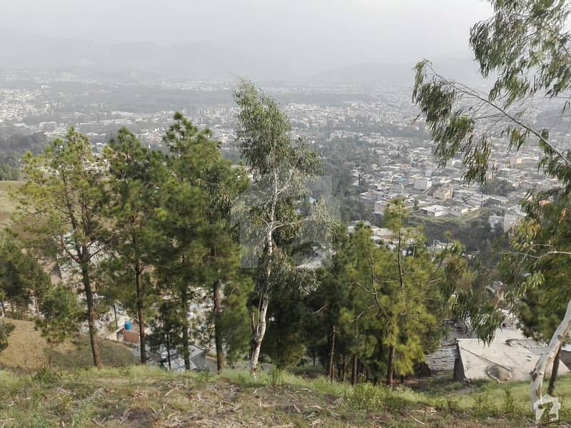 Perfect 10 Marla Residential Plot In Shimla Pahari For Sale Shimla
