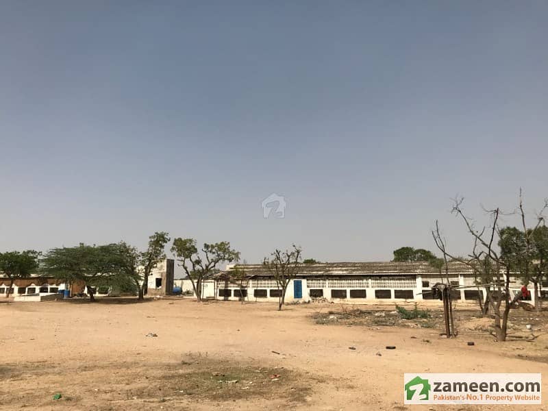 Poultry Farm Available On Rent Gadap Town, Karachi ID10271096