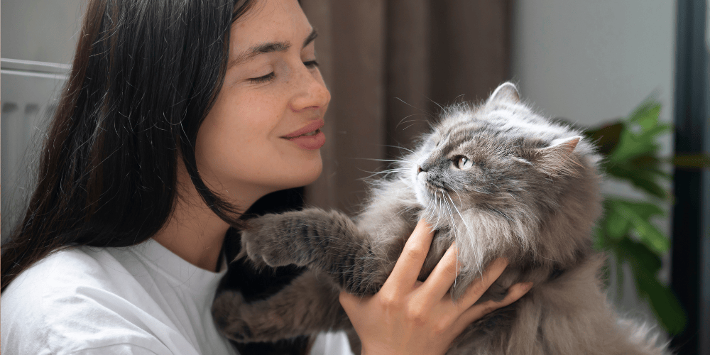 How Do Cats Recognize Their Owners by Smell