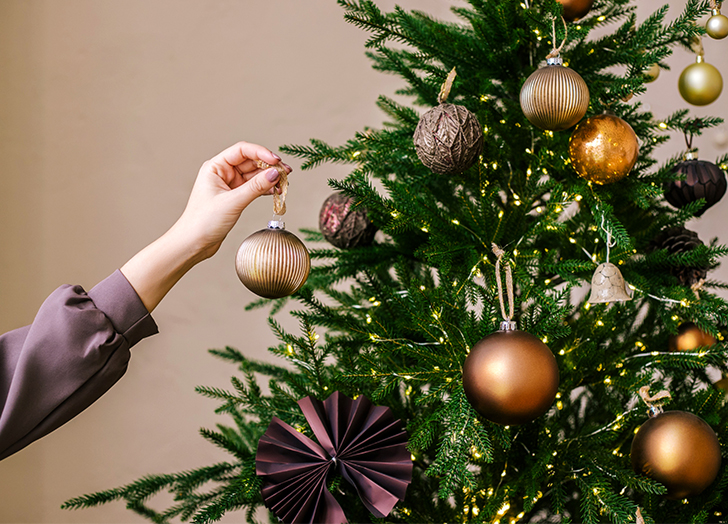 How to Keep a Christmas Tree Alive and Healthy Through the Holidays