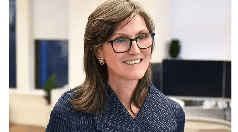 Cathie Wooden Is Shopping for Shares of This Little-Identified Ethereum Treasury Firm. Ought to You?