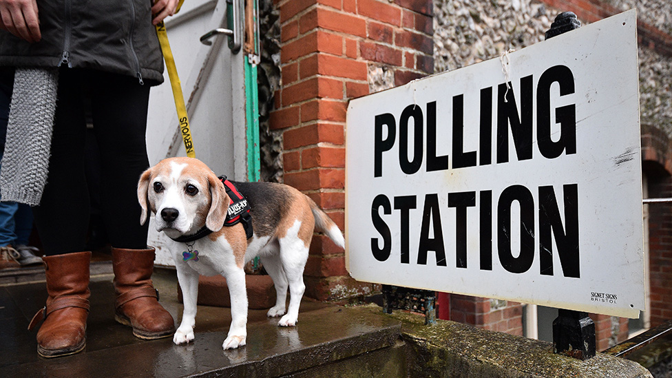 Selfies, dogs and drinking What can't you do in a polling station?