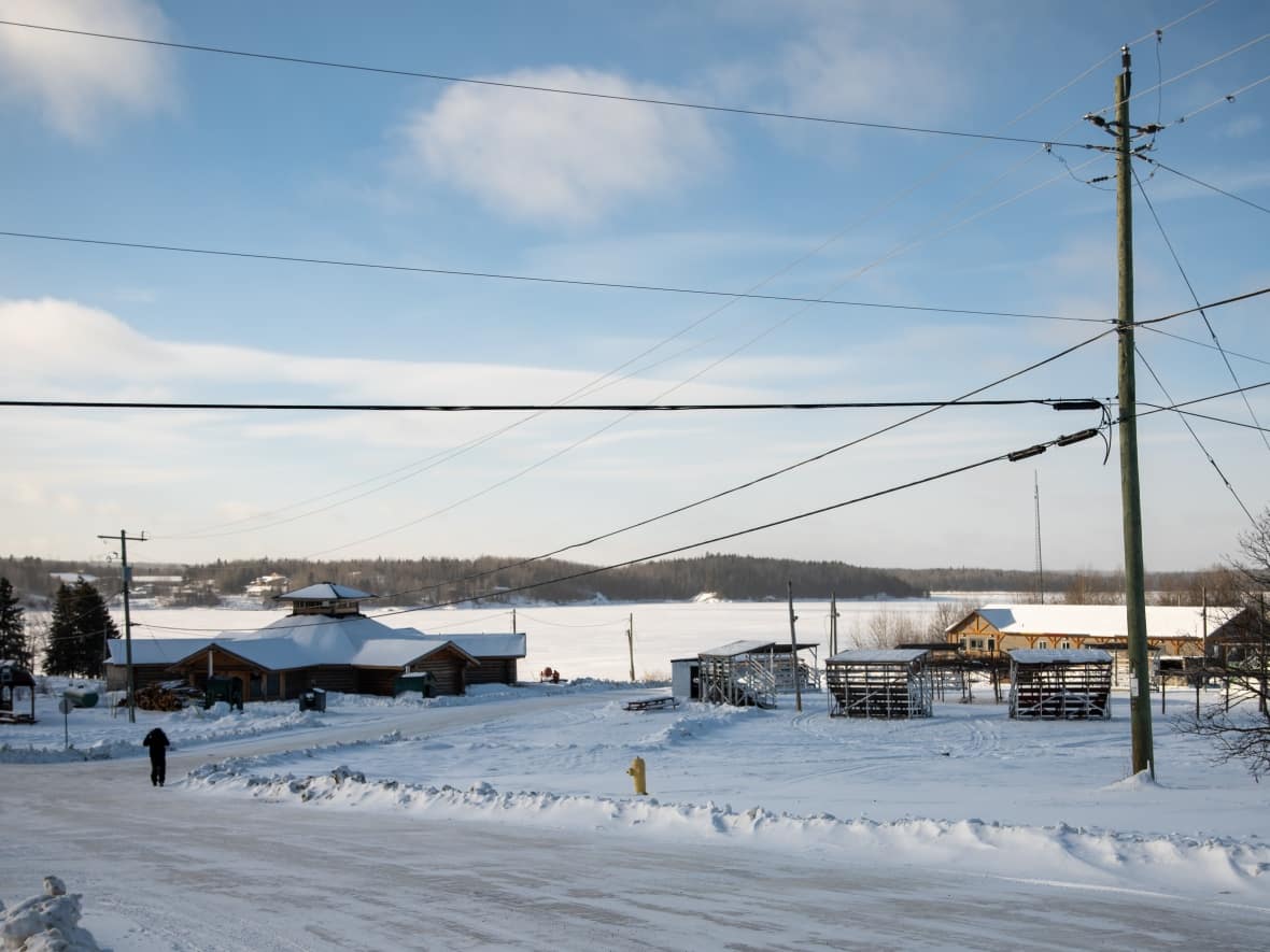 Grassy Narrows First Nation looking at next options to protect land