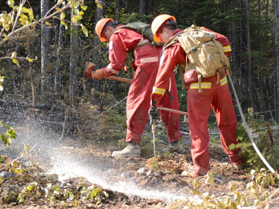 Evacuation alert issued for rural properties near Agassiz due to wildfire