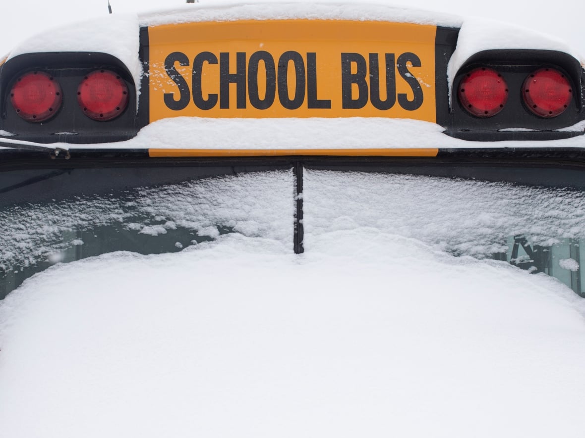Schools across OttawaGatineau region closed Friday due to storm
