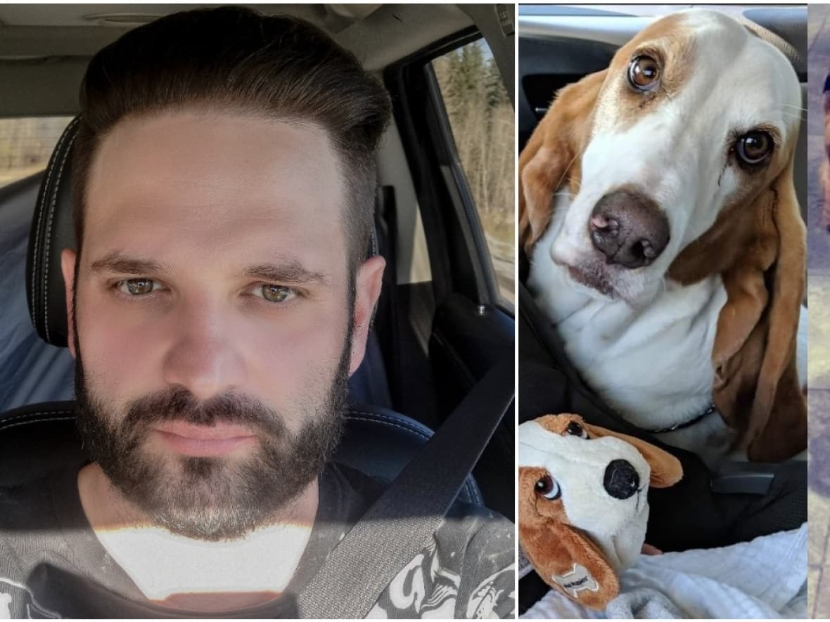 Calgary father who killed 2 dogs in violent attacks gets 3 years in jail