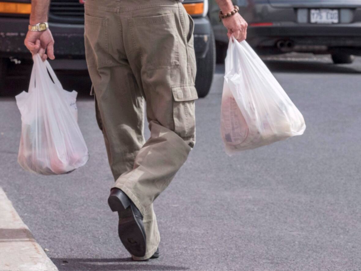 Regina's plastic bag ban bylaw takes effect Tuesday