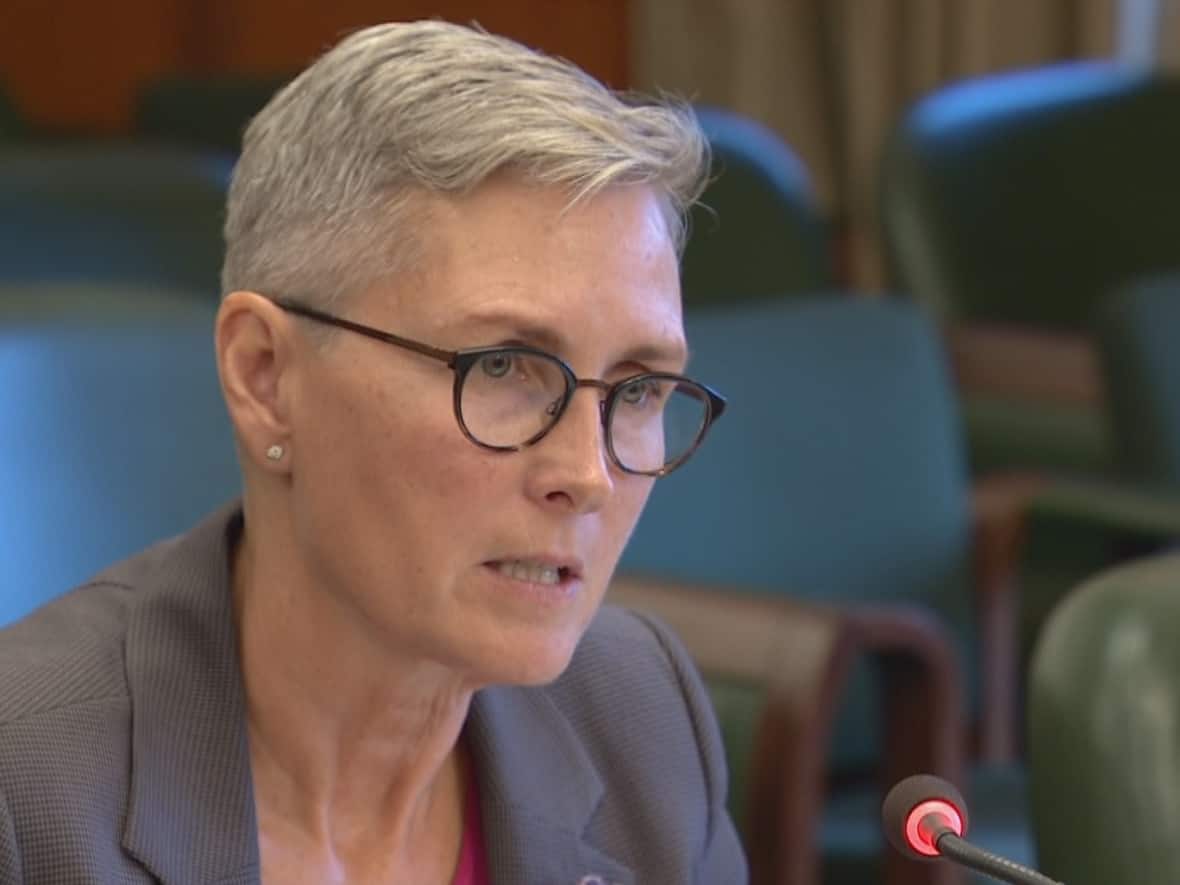 Indigenous groups rally around Mary Ellen TurpelLafond amid calls for