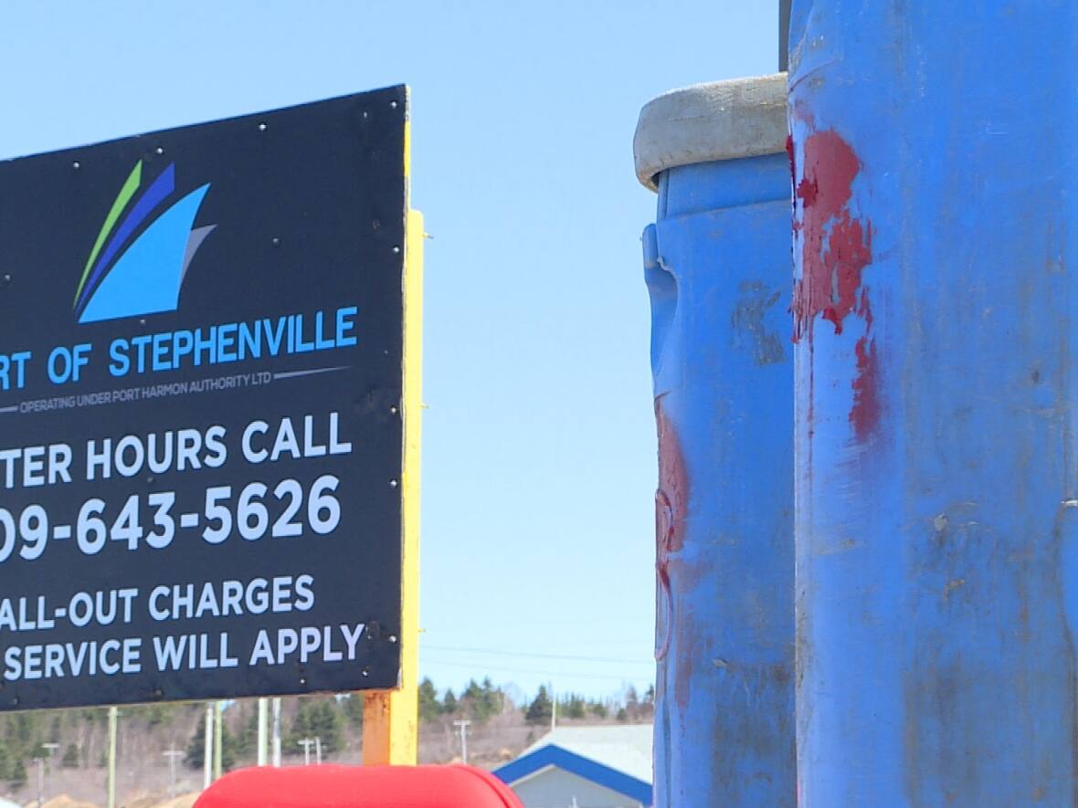 World Energy GH2 buys Stephenville port to clear the way for producing