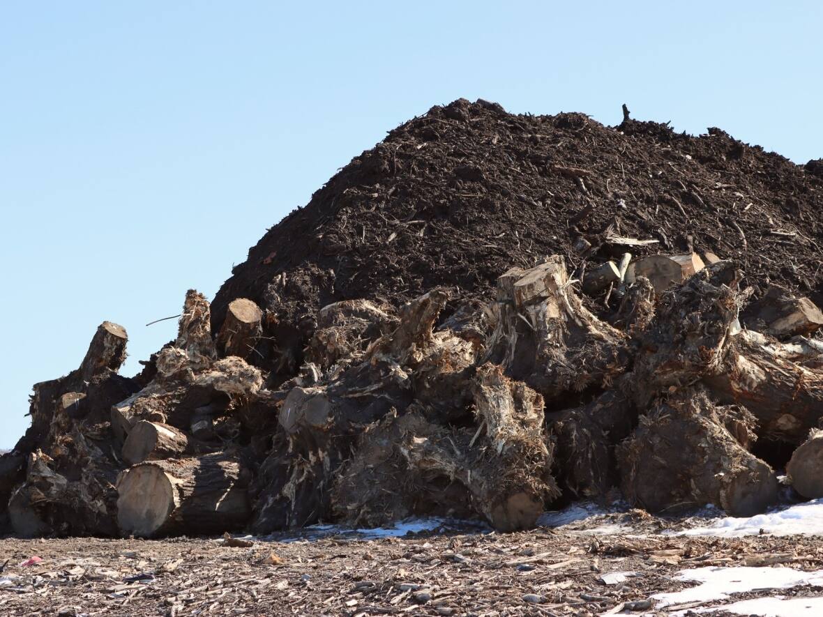 Cape Breton municipal dump overwhelmed by wood debris from last year's storm