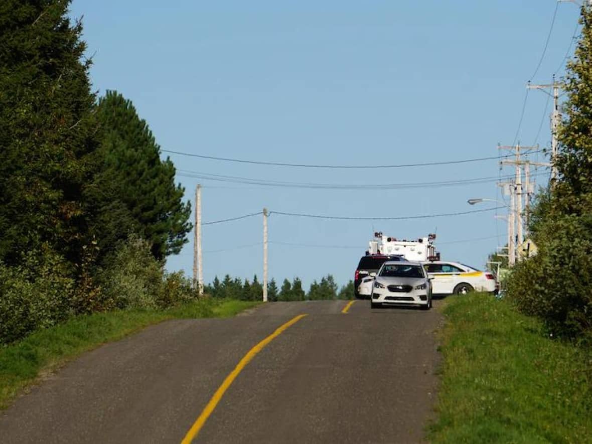 Emergency alert lifted after Quebec police arrest suspect in StElzéar