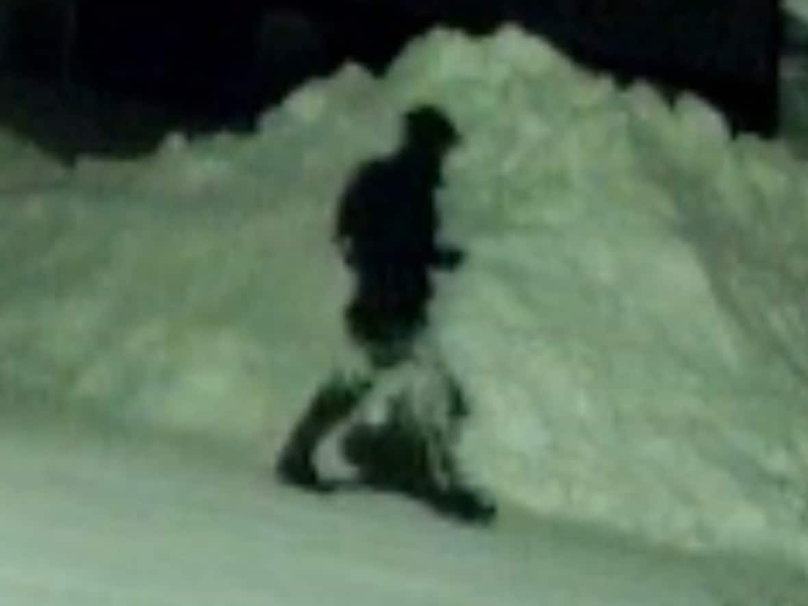 RCMP identifies victim in Air Ronge homicide investigation