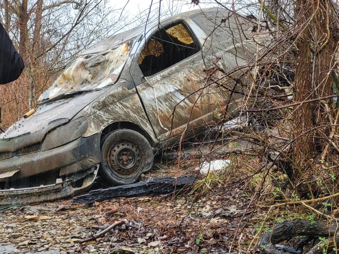 New Brunswick car found in Alabama creek a 'mystery' to divers