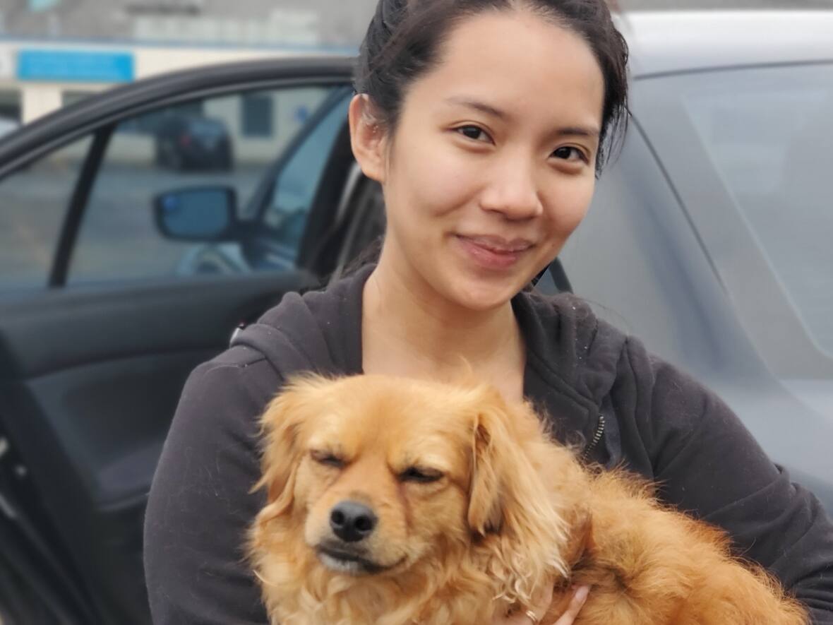 Crowds flock to Fredericton passport office after long lines in Montreal