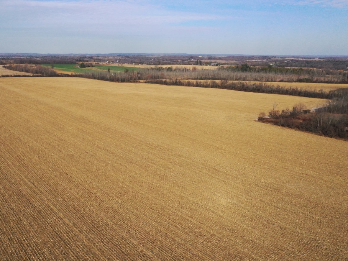 Prominent developer family linked to more Greenbelt properties slated