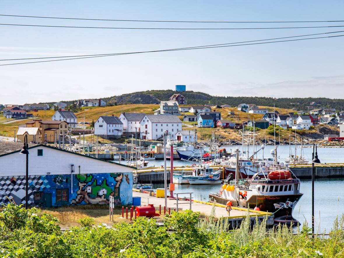 Bonavista is looking to shut out Airbnb as longterm housing gets