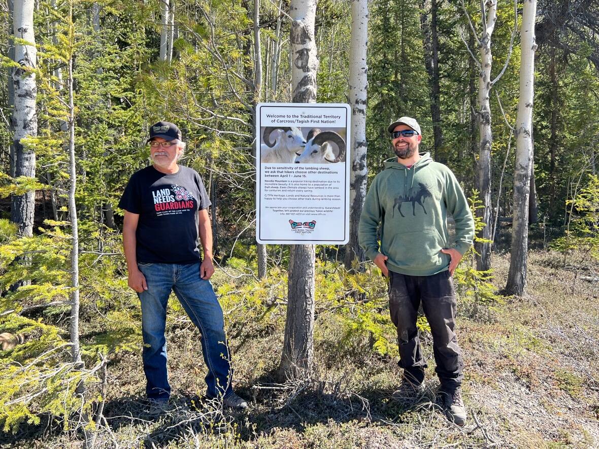 Carcross/Tagish land guardians step up efforts to protect nesting birds