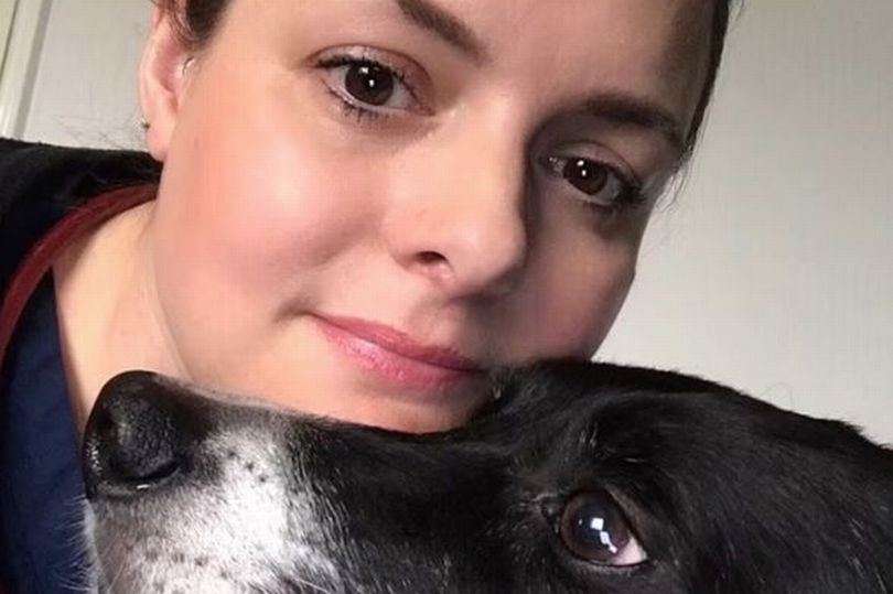 Vet refuses to put cat down and takes it home as owner 'grieves for its