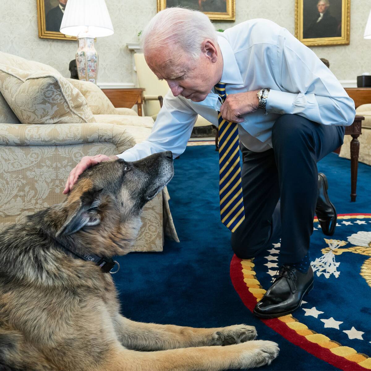 President Joe Biden and Dr. Jill Biden Mourn Death of Dog Champ