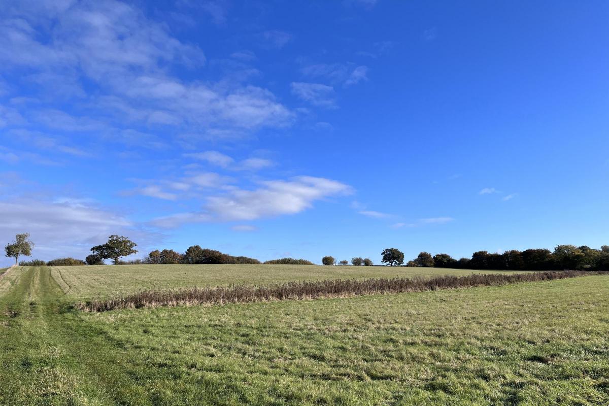Suffolk village church's grassland field sells for top price after
