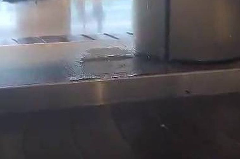 Edinburgh passenger lands in London but makes disheartening discovery