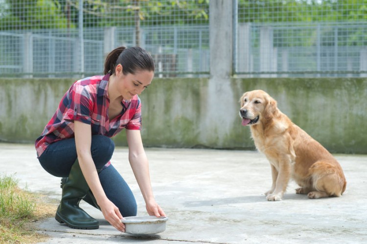 Is Neogen Corporation (NEOG) a Safe Investment?