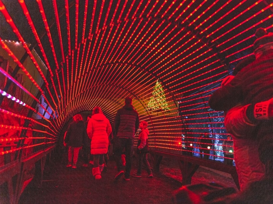 Elmwood Zoo's 'Wild Lights' Holiday Celebration Returns For 2020