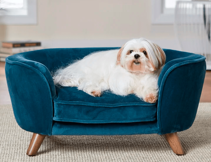 Wayfair's Huge Black Friday Pet Sale Includes Deals on Everything From Beds to Feeders