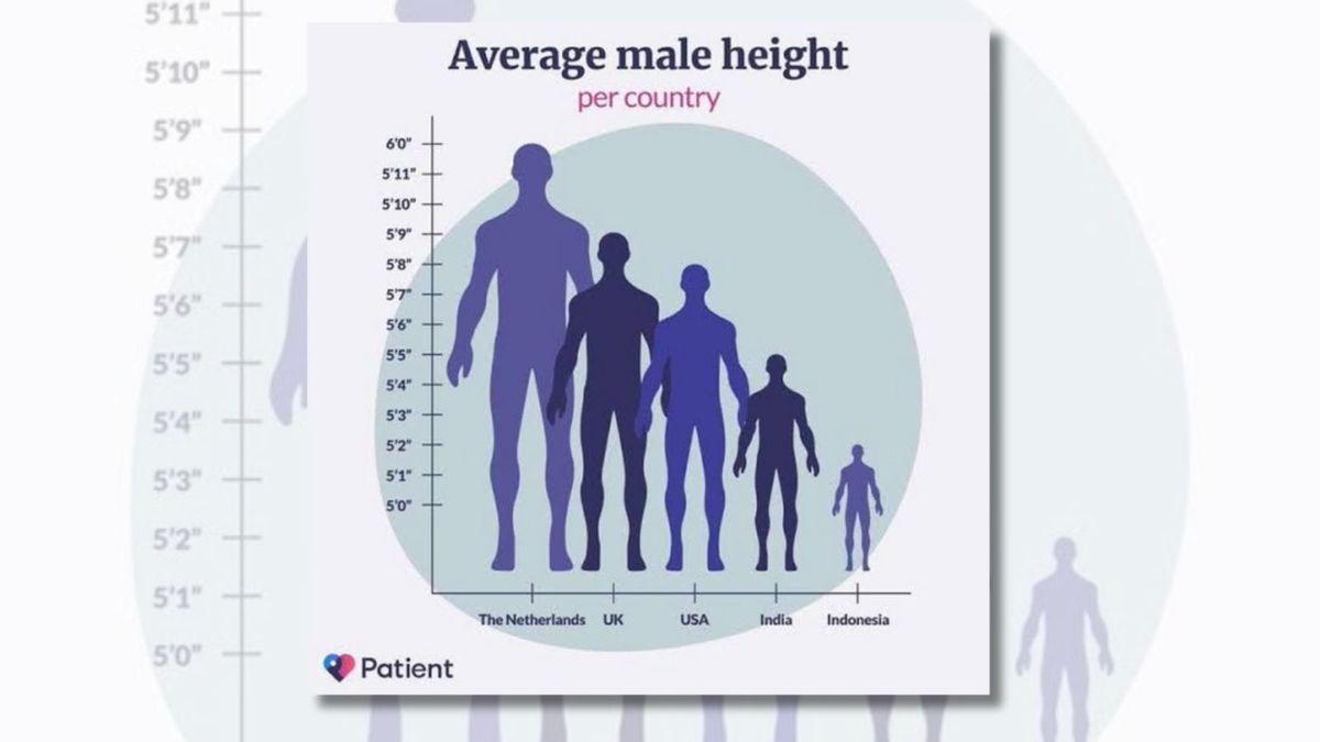 Fact Check Is This Graph Comparing Average Male Height by Country