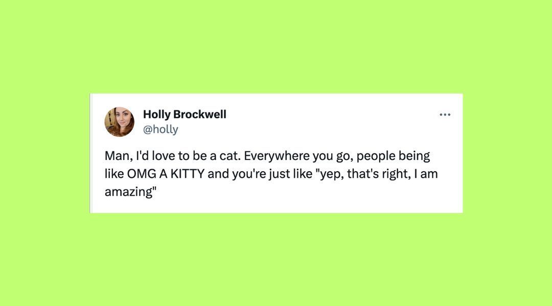 24 Of The Funniest Tweets About Cats And Dogs This Week (Jan. 612