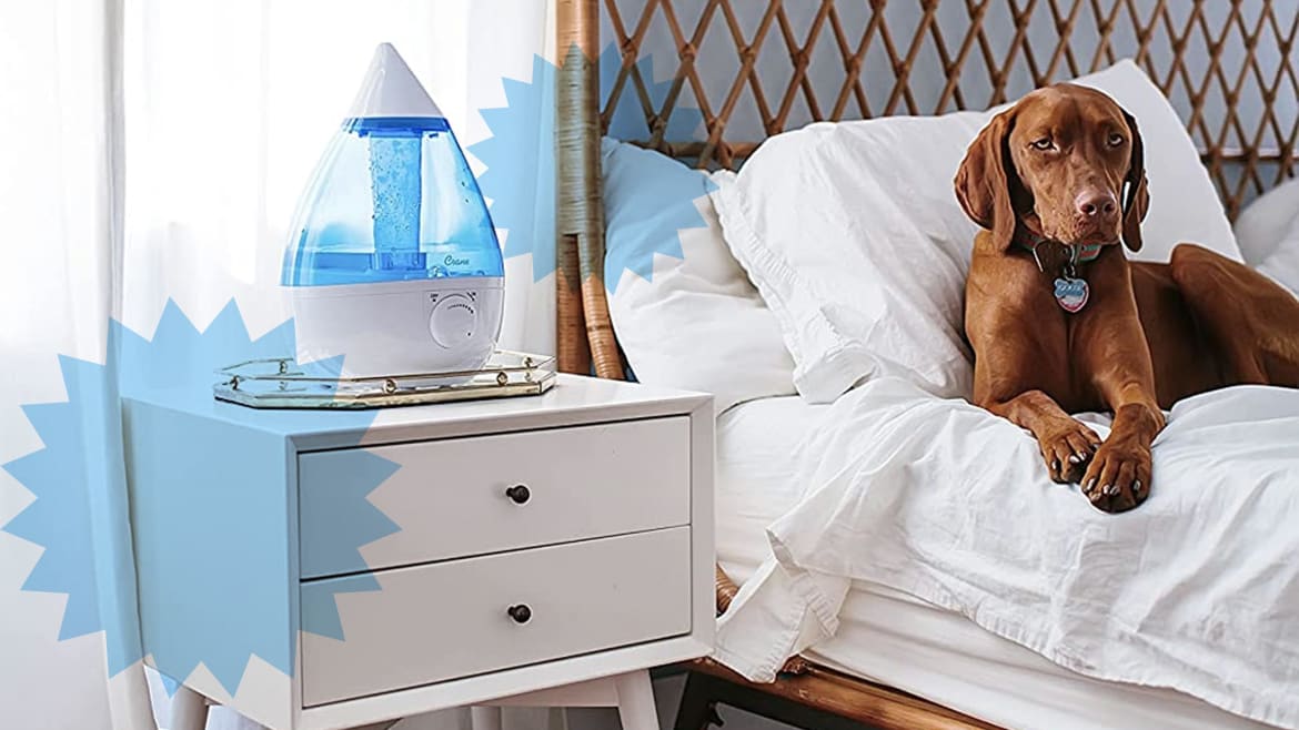 This Humidifier Is Practically a Lifesaver When We Get Sick