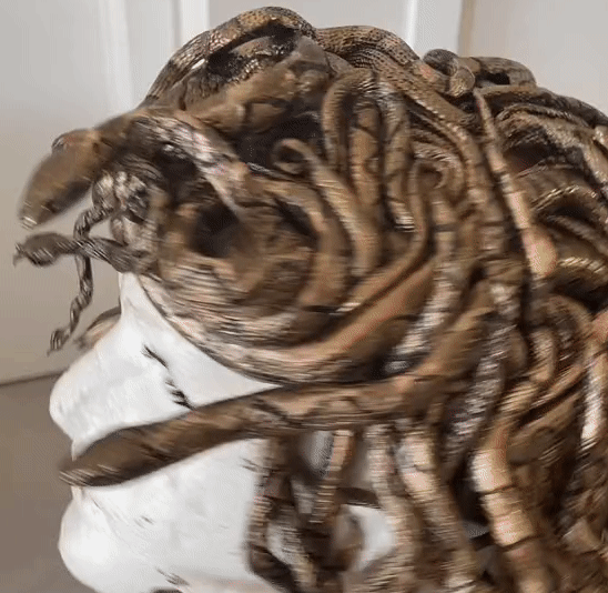 Alberta Man Crafts Medusa Halloween Costume With Jelly Snakes