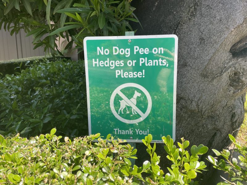 ‘No dog pee’ signs are everywhere. Can they be enforced?