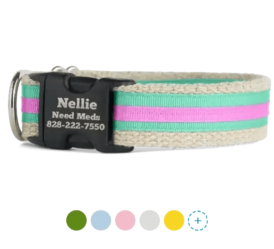 Martingale Collars If It Barks