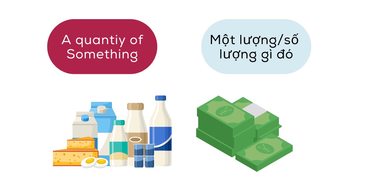 Phân biệt Amount of Number of Quantity of ZIM Academy