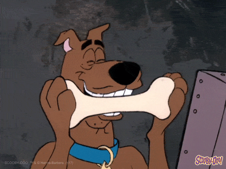 Hungry Dog GIF by ScoobyDoo Find & Share on GIPHY