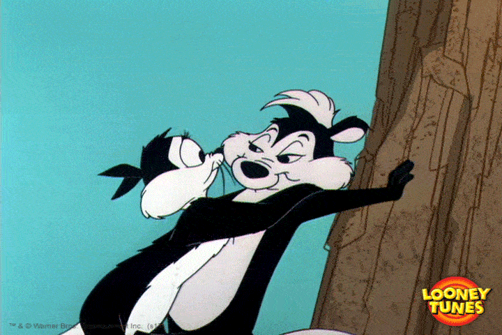 Looney Tunes GIF Find & Share on GIPHY
