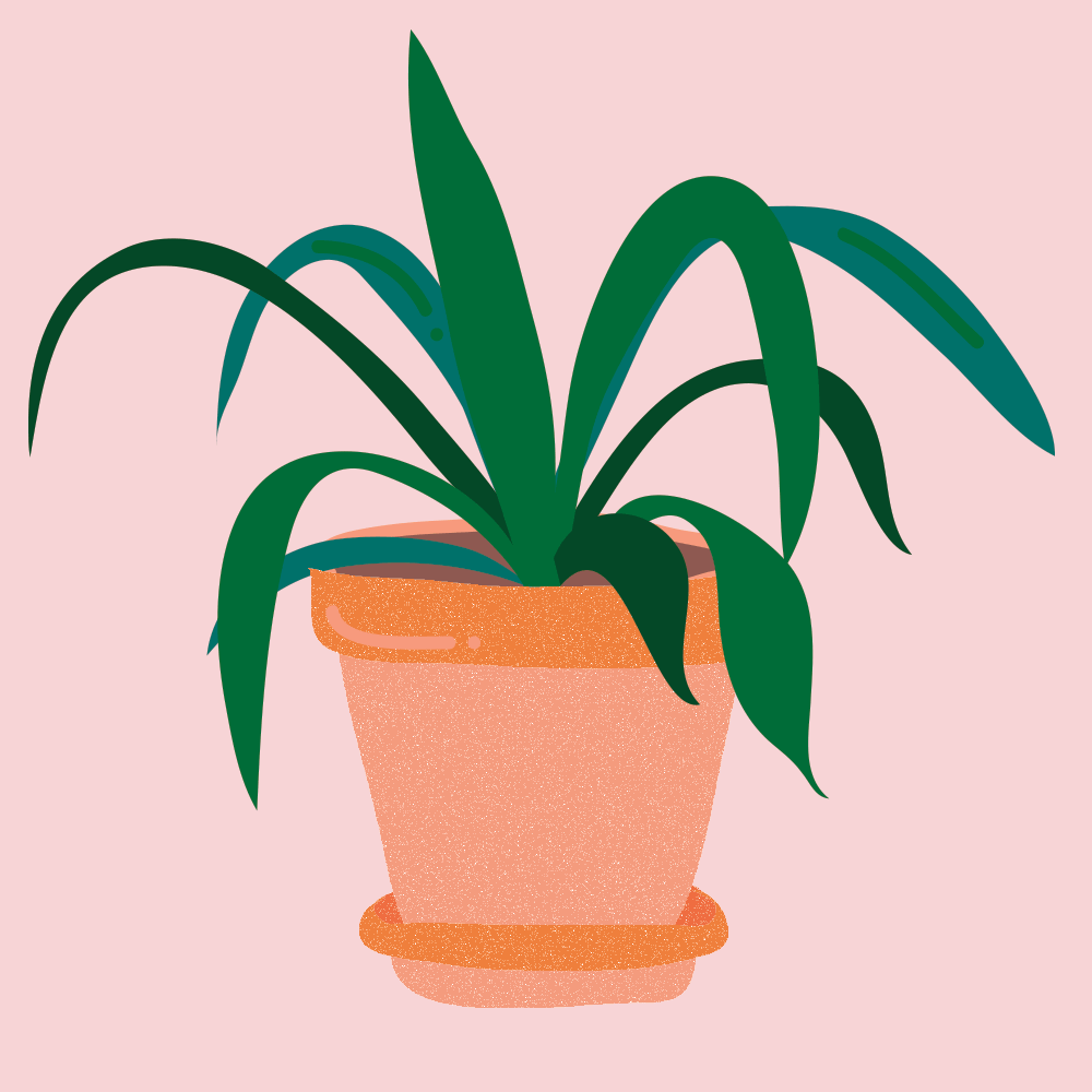 Grow Take Care GIF by Robyn Janine Find & Share on GIPHY