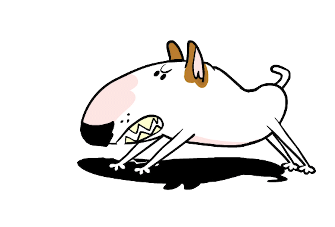 Barking Bull Terrier GIF by Jimmy the Bull Find & Share on GIPHY