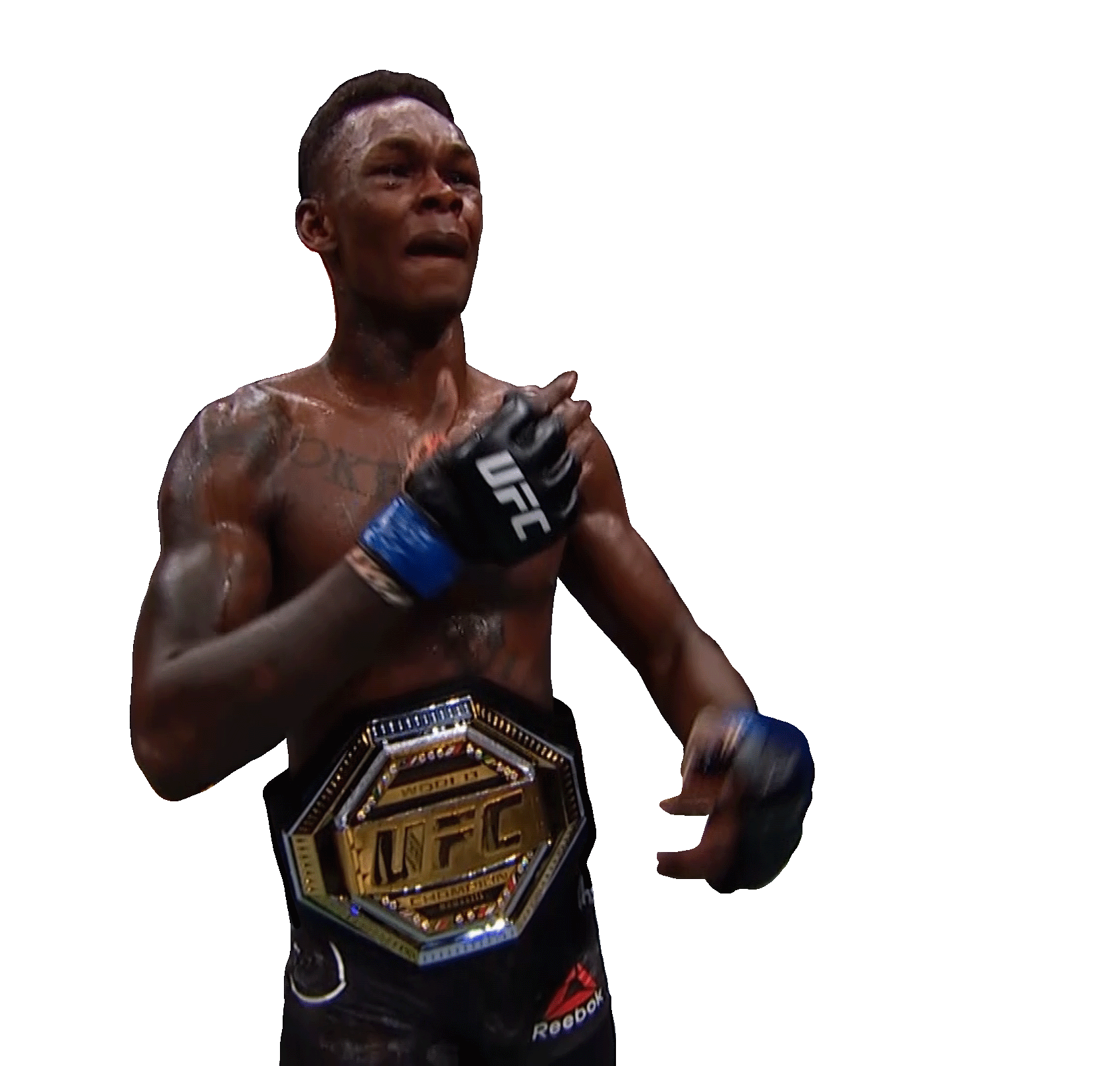 Share the best gifs now >>>. New Zealand Fight Sticker by Israel Adesanya for iOS ...