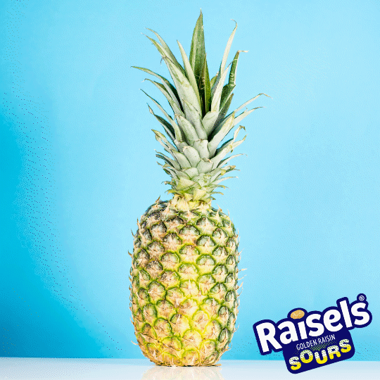 Raisels Fruit Splash GIF Find & Share on GIPHY