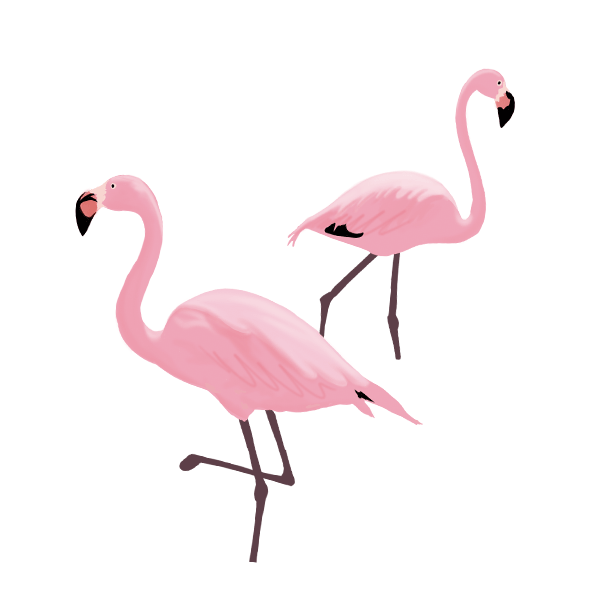 Animal Sticker for iOS & Android GIPHY