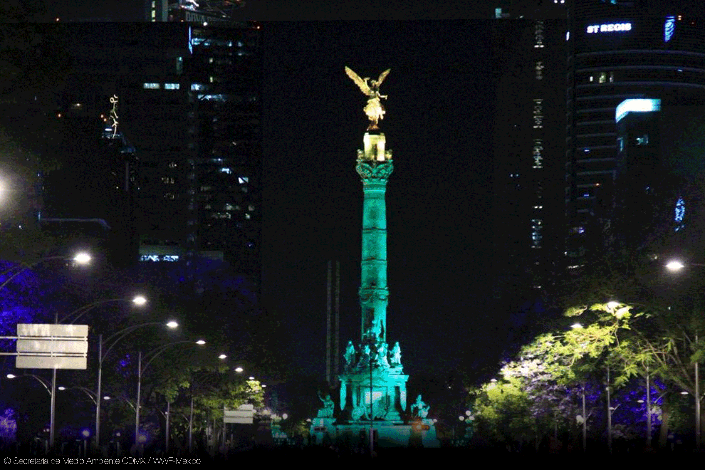 Mexico City GIF by Earth Hour Find & Share on GIPHY
