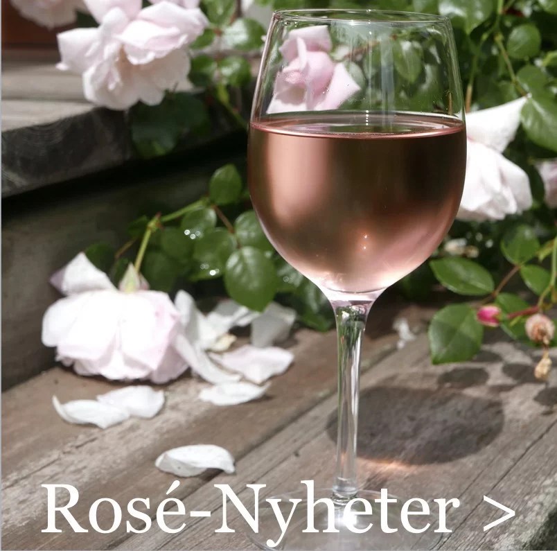 bästa rosevinet 2023 Tips På Roséviner – Bäst I Test 2022 - Vinbetyget