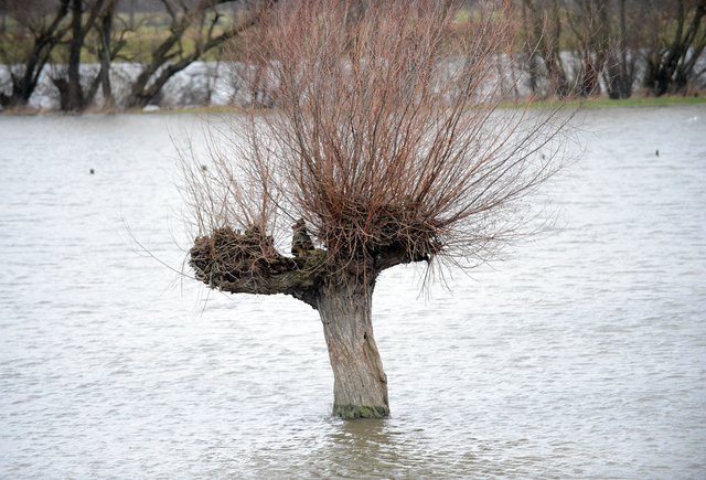Hochwasserlage am Niederrhein entspannt sich Kleve