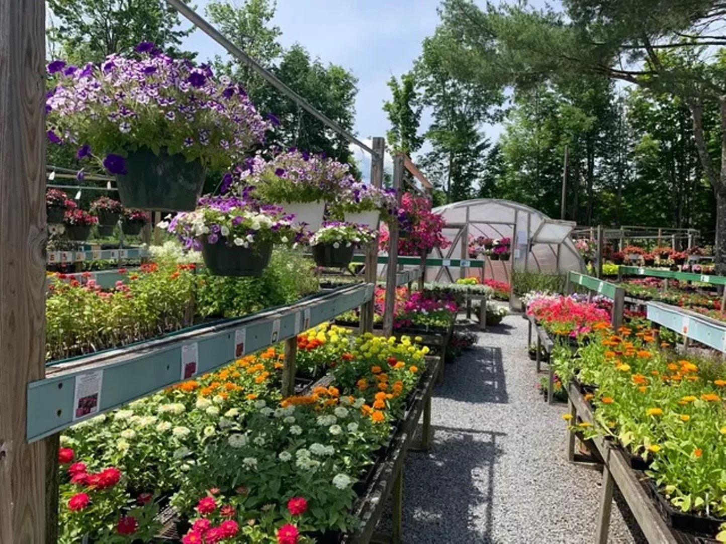 Plant Paradise This Picturesque Nursery in Jewett is Worth a Trip