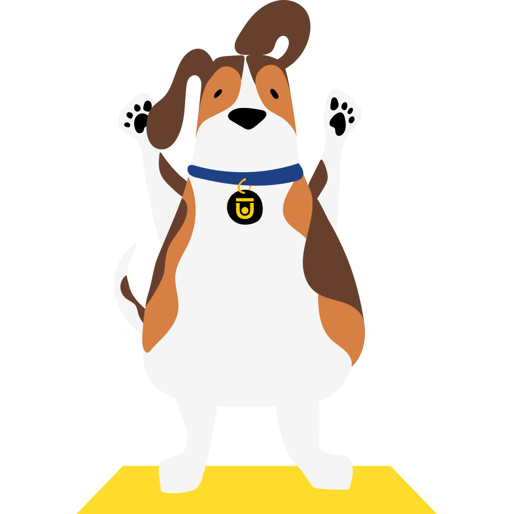 Yoga Dog Sticker by Chuze Fitness for iOS & Android GIPHY