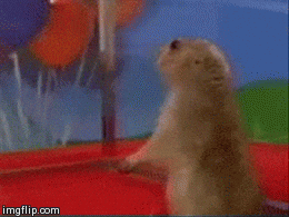 What Does GIF Stand For And How Do You Pronounce It Metro News