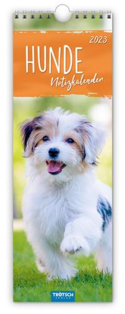 Hunde 2023 Kalender Trötsch Streifenkalender Hunde 2023 (Kalender) – Jpc