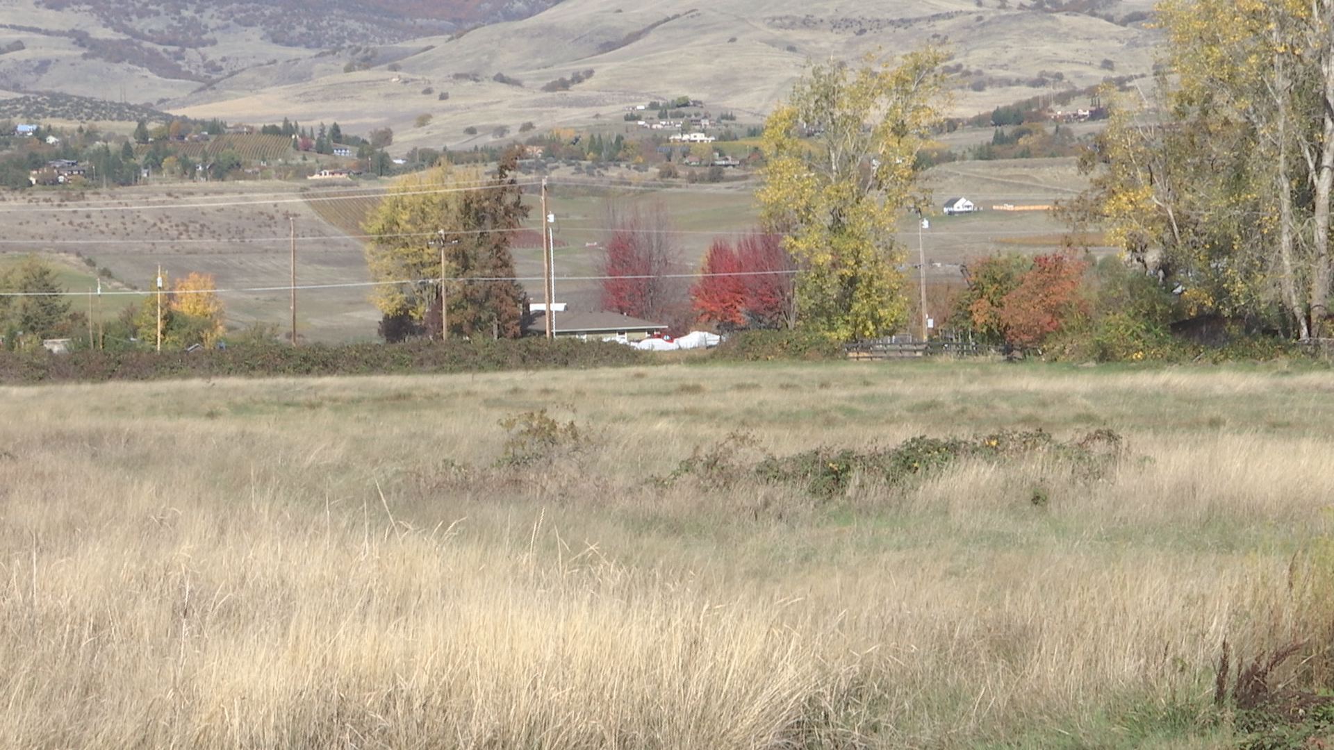 A second Ashland dog park is in the works KOBITV NBC5 / KOTITV NBC2